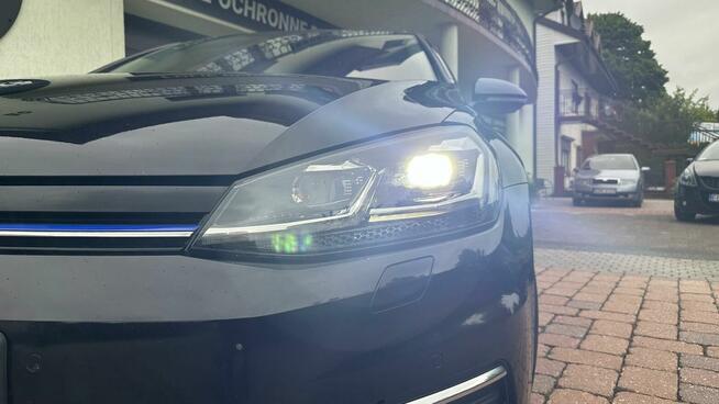 VW Golf 2019, VII gen. , 1.5 TSI BMT Comfortline