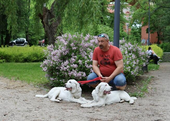 Owczarek środkowoazjatycki