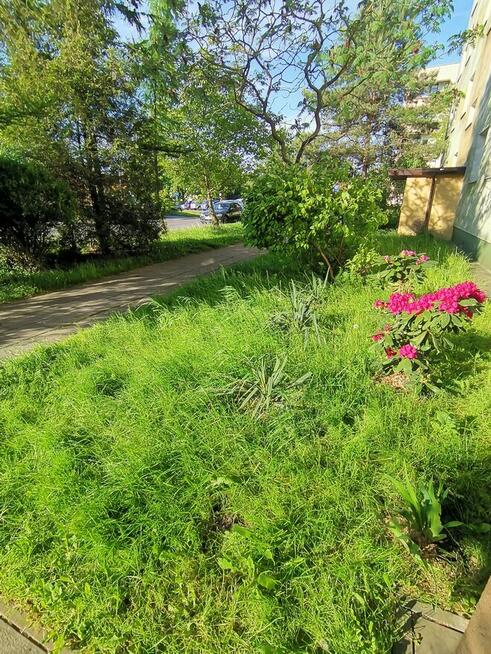 Wynajmę kawalerkę w Radomiu, osiedle Ustronie-Prędocinek