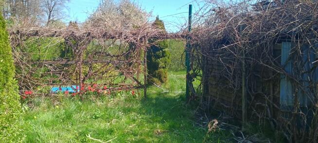 Sprzedam działkę rekreacyjną.