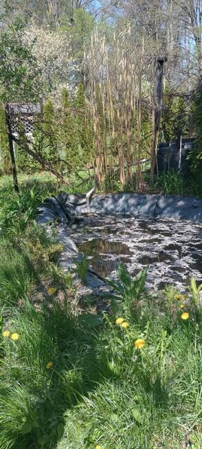 Sprzedam działkę rekreacyjną.