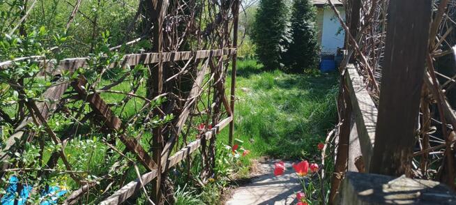 Sprzedam działkę rekreacyjną.