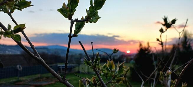 Domek w Górach, domek z kominkiem, Limanowa -Nowy Sącz
