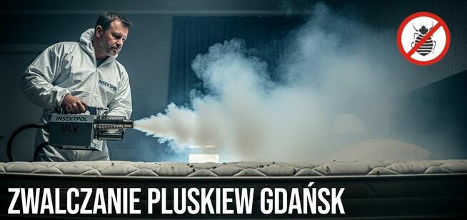 Zwalczanie pluskiew Gdańsk - Odpluskwianie, Dezynsekcja