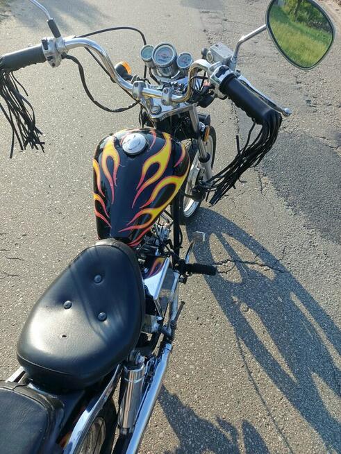 Kingway Chopper XT50Q „ŁOŚ”