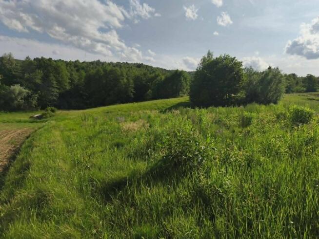 Działka w Lipnicy Dolnej - 99 arów