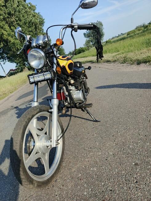 Kingway Chopper XT50Q „ŁOŚ”