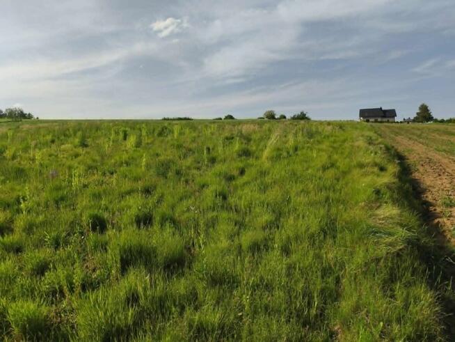 Działka w Lipnicy Dolnej - 99 arów