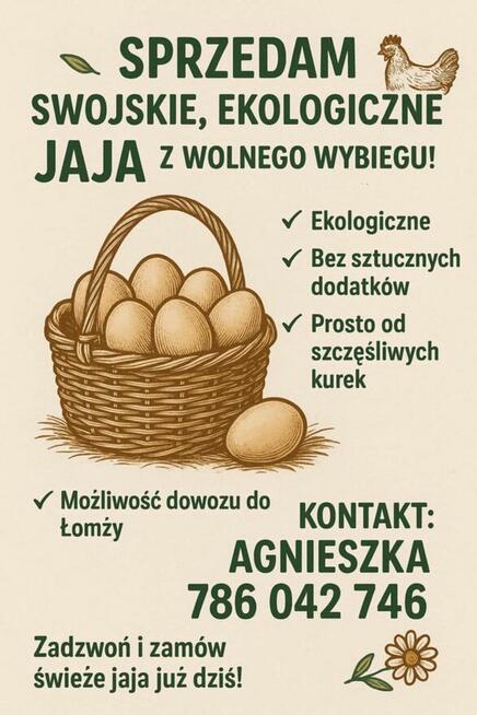 Sprzedam jajka