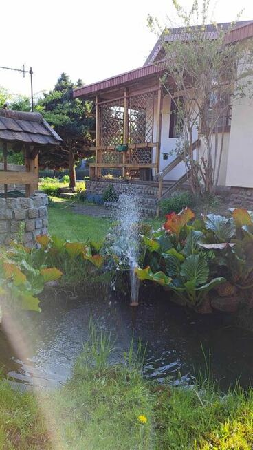 Słoneczna działka ROD Polana Janowo Opławiec