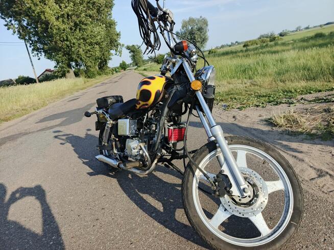Kingway Chopper XT50Q „ŁOŚ”