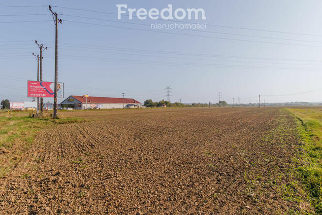 Działka pod inwestycję w Żabnie!
