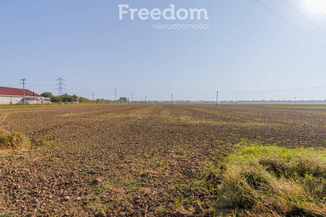 Działka pod inwestycję w Żabnie!