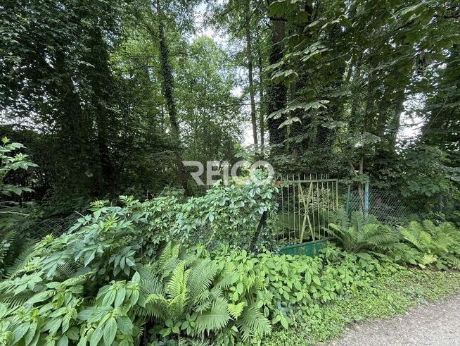 Pierwsza linia zabudowy nad Narwią