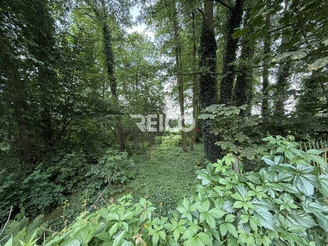 Pierwsza linia zabudowy nad Narwią