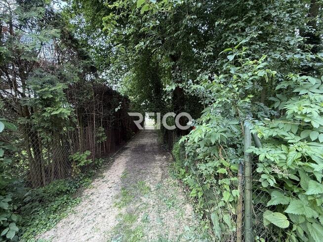 Pierwsza linia zabudowy nad Narwią