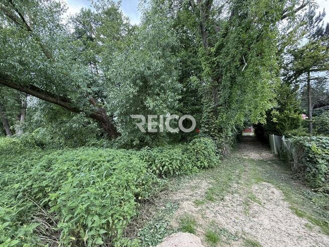 Pierwsza linia zabudowy nad Narwią