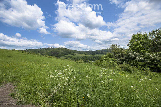 Działka na stoku, Mchawa, Bieszczady