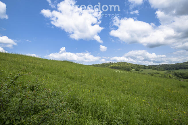 Działka na stoku, Mchawa, Bieszczady