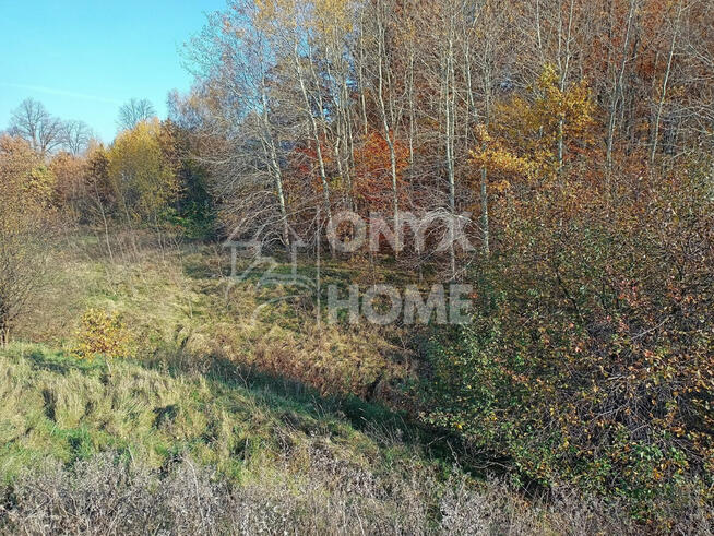 Działka inwestycyjna Załęże gm. Przodkowo, Widokowa