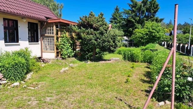 Słoneczna działka ROD Polana Janowo Opławiec