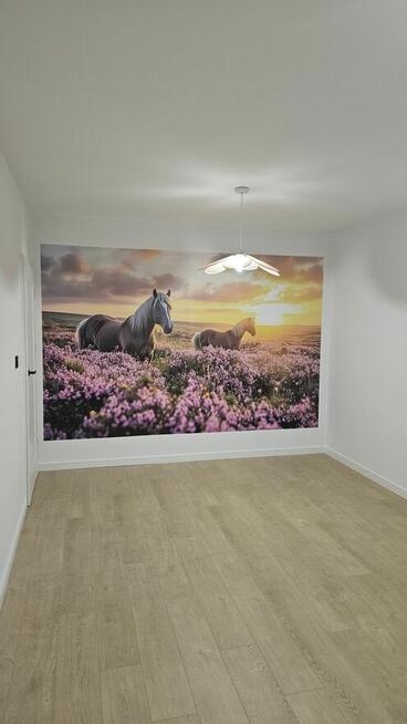 Ścianodruk - Profesjonalny druk ścienny - www.scianodruk.pl