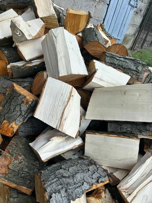 Sprzedm drzewo olszyne