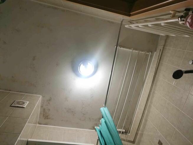 Skuteczne ODGRZYBIANIE budynków i piwnic Warszawa