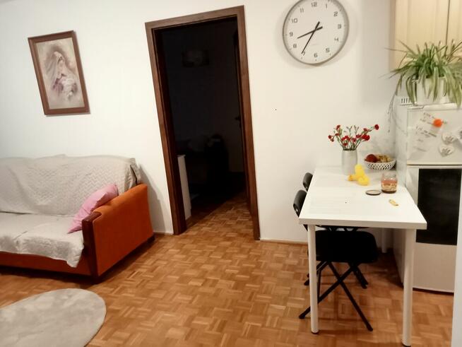 sprzedam mieszkanie 47m ul Okrzei parter oferta prywatna