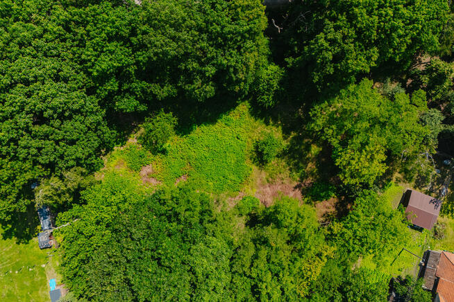 Zajączków – działka pod zabudowę wielorodzinną