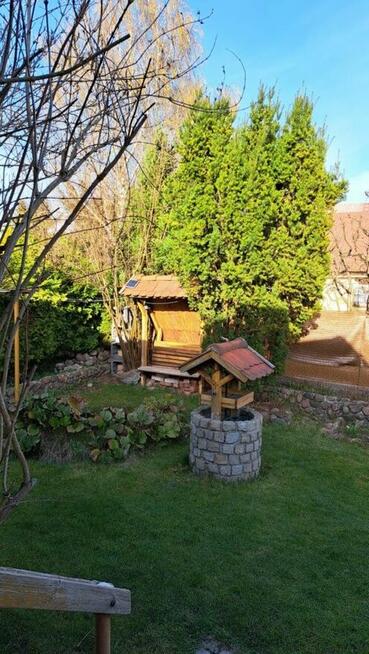 Słoneczna działka ROD Polana Janowo Opławiec