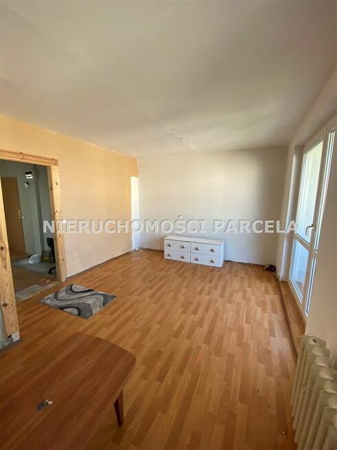 M4 ul. Zielona wolne od zaraz