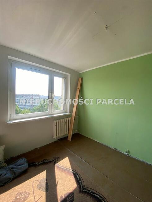 M4 ul. Zielona wolne od zaraz