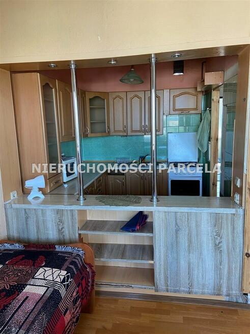 M4 ul. Zielona wolne od zaraz