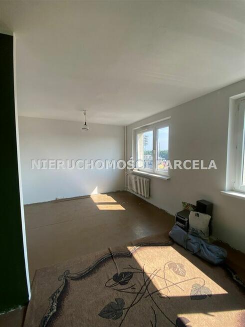 M4 ul. Zielona wolne od zaraz