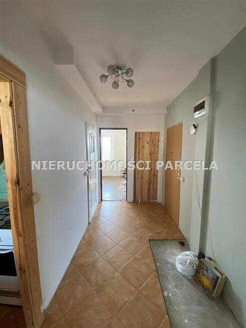 M4 ul. Zielona wolne od zaraz