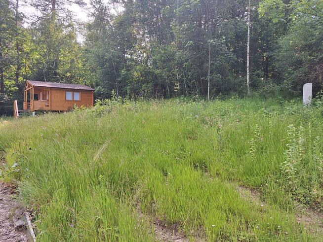 Domek letniskowy wśród drzew