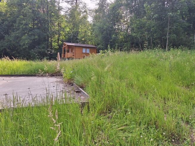 Domek letniskowy wśród drzew