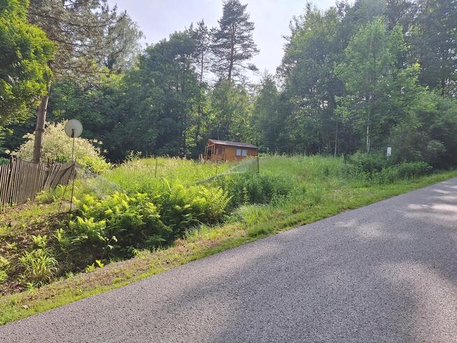 Domek letniskowy wśród drzew