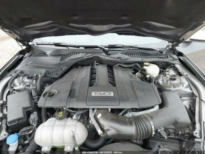 Mustang GT Premium Fastback 5.0