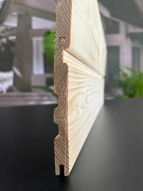 Boazeria podbitka ze świerka skandynawskiego