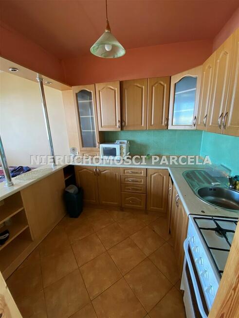 M4 ul. Zielona wolne od zaraz