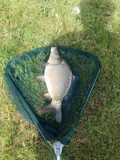 ,,Siedlisko żurawi, Domek letniskowy