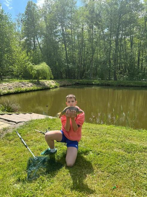 ,,Siedlisko żurawi, Domek letniskowy