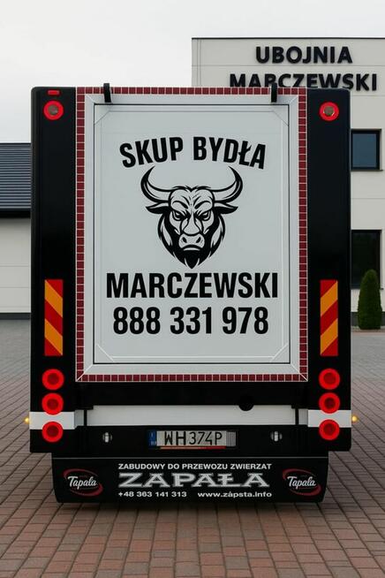 Skup bydła na ubój z konieczności
