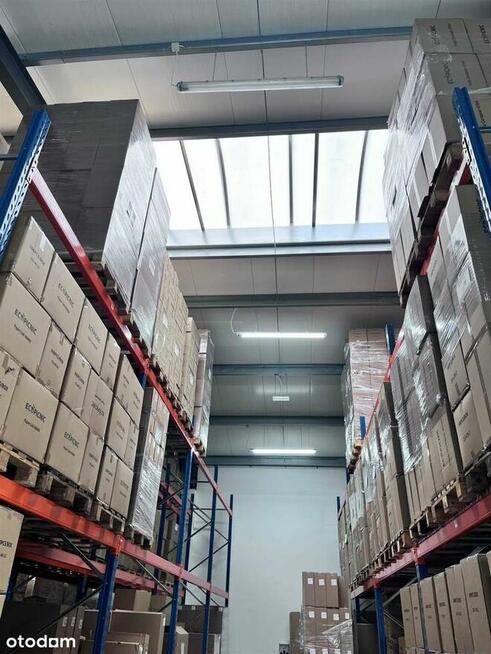 Nowoczesna samodzielna hala z parkingiem