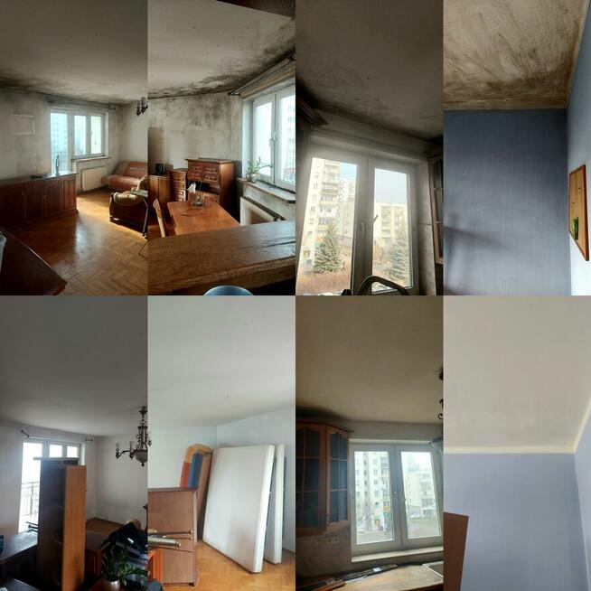 Derty Serwis Odgrzybianie Chemiczne