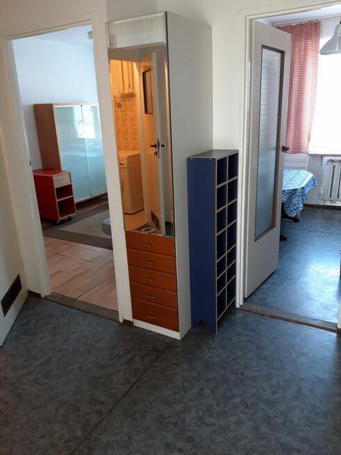 Mieszkanie dla studentek 2pokoje kuchnia 50m2 obok g. OLIMP