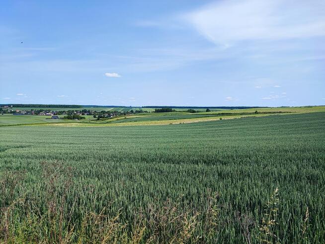 Działka rolna 2040 Łabunie