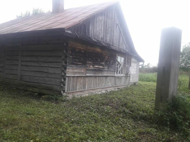 Siedlisko 6,5 H w jednym kawałku w wnęce w lesie dwa domy